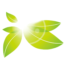 Alpro Foundation 2021 Award für die beste wissenschaftliche Publikation