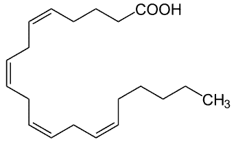 Arachidonic acid: scientific article has been published